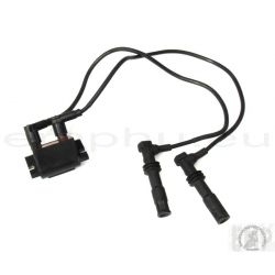 BMW R 1150 GS Ignition coil  12131341978