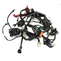 YAMAHA YZF R 125 WIRE HARNESS ASSY 5D7-H2590-10-00