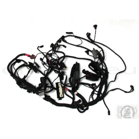 BMW R1200GS ADVENTURE Main wiring harness  61117726669